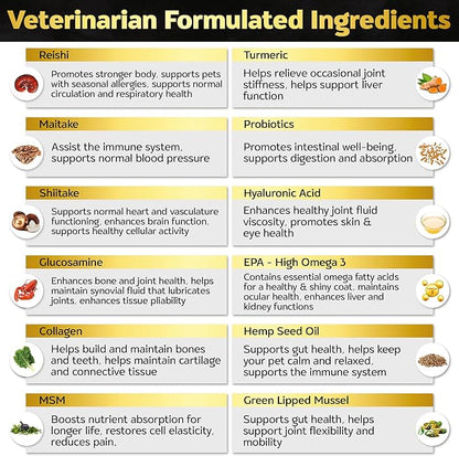 Soft Chews Hip and Joint Supplement for Dogs - Dog Joint Pain Relief Treats - Glucosamine, Chondroitin, Turmeric - Mobility Supplement (Bacon - 30 Soft Chews)