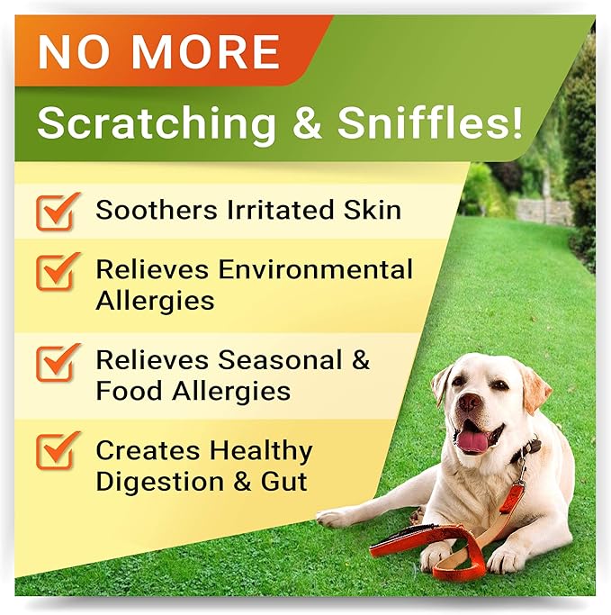 Omega 3 + Allergy Relief for Dogs Bundle - Allergy & Itch Relief + Itchy Skin Treatment - EPA & DHA Fatty Acids + Pumpkin - Shedding, Itchy Skin Relief + Itch Relief- 360 Chews - Made in USA