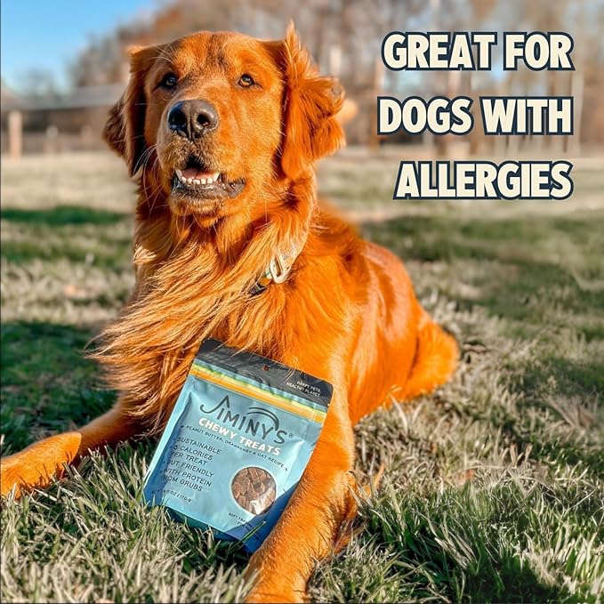 Jiminy's Chewy Training Treats for Dogs, Low Calorie, Hypoallergenic Insect Protein, Made in USA, 6oz, Peanut Butter & Cranberry (Pack of 1)