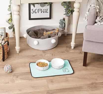 Bone Dry Machine Washable, Ultra Absorbent Pet Mat, 10x18, Green Stripe