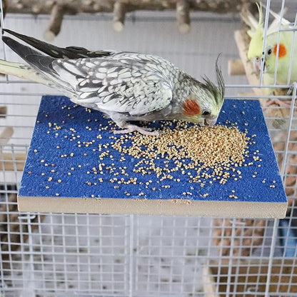 Dnoifne 7.9×5.9 Inches Large Bird Perch Stand Platform, Natural Wooden Bird Cage Accessories, Bird Stand Perch with Rough Quartz Sand Surface for Parrot, Parakeet, Budgies, Cockatiel, Rats