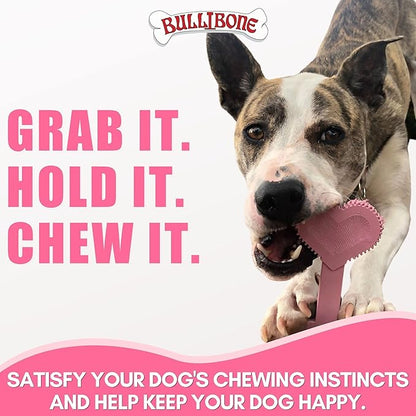 Bullibone Nylon Dog Chew Toy Nylon Bone - Improves Dental Hygiene, Easy to Grip Bottom, and Permeated with Flavor (Peppermint, Large - 2 Pack)