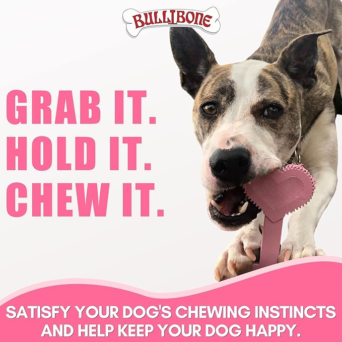 Bullibone Nylon Dog Chew Toy Nylon Bone - Improves Dental Hygiene, Easy to Grip Bottom, and Permeated with Flavor (Peppermint, Large - Single)