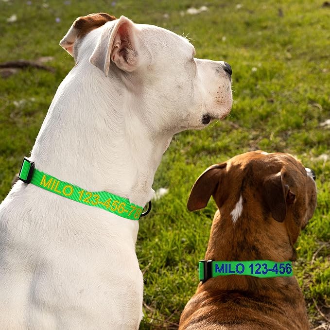 Pawtitas Personalized Dog Collar Extra Small Dog Collar Embroider with Name Phone Number Puppy Collar Adjustable Customized Collar for Extra Small Dogs Breeds Puppy Green Dog Collar