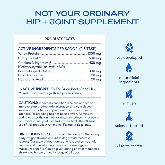 Native Pet Advanced Care - Hip & Joint Supplement for Dogs - Supports Joints, Cartilage, Muscles & Anti-Inflammatory with HMB, UC-II Collagen, Green Lipped Mussel & Hyaluronic Acid - 120 Scoops