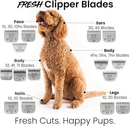Fresh 40 Dog Grooming Blade, 1/100" (0.25 mm) Cut, Fits Andis, Oster, Wahl A5 Detachable Clippers, High-Carbon Steel with Chrome Coating, Ultra-Close Blade for Surgical Preps or Detail Work