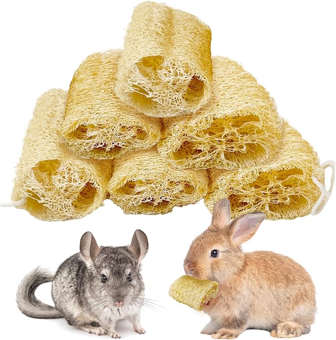 BNOSDM Bunny Chew Toys Natural Loofah 6PCS Bunny Teeth Grinding Toy Rabbit Fiber-Rich Treats Pet Entertainment Accessories for Rabbits Chinchillas Guinea Pig（L）