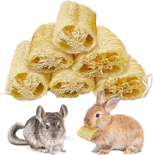 BNOSDM Bunny Chew Toys Natural Loofah 6PCS Bunny Teeth Grinding Toy Rabbit Fiber-Rich Treats Pet Entertainment Accessories for Rabbits Chinchillas Guinea Pig（L）