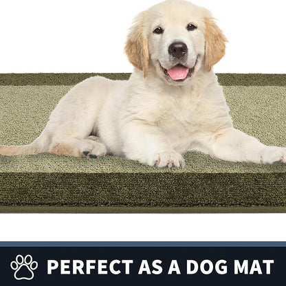 PURRUGS Dirt Trapping Door Mat 20" x 32", Non-Slip Washable Entry Mat, Dog Doormat, Front Door Mat, Super Absorbent Entrance Mat for Muddy Shoes & Paws, Budding Green & Sage Green
