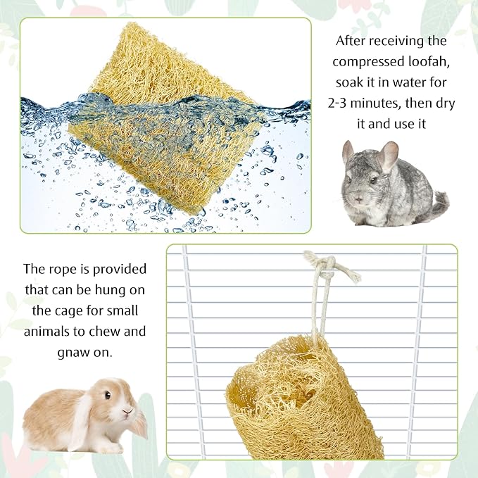 BNOSDM Bunny Chew Toys Natural Loofah 4PCS Bunny Teeth Grinding Toy Rabbit Fiber-Rich Treats Pet Entertainment Accessories for Rabbits Chinchillas Guinea Pig（XL）