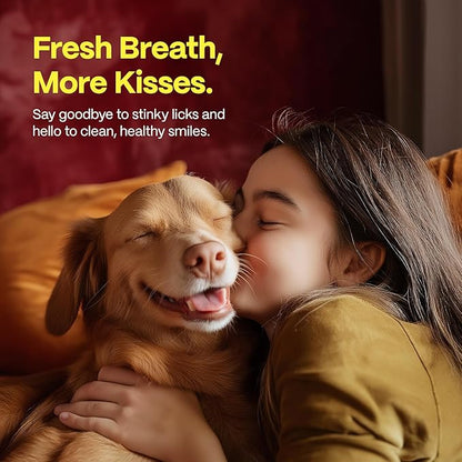 DOCO Dog Teeth Cleaning Wipes Dental Finger Wipes for Cats & Dogs Remove Plaque & Tartar, Freshen Breath, No Rinse, Easy & Effective Pet Tooth Cleaning Kit for Oral Care (Chicken Flavor, 100 Count)