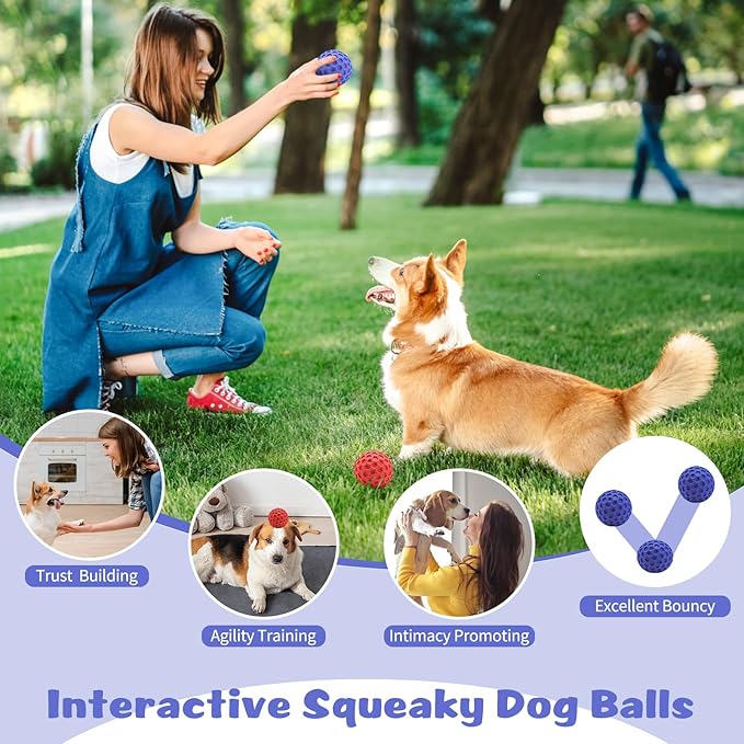 HIPPIH Indestructible Squeaky Dog Toys, Interactive Dog Balls 2 Pack, Chew Toys for Aggressive Chewers, Natural Rubber Puppy Toy for Large/Medium Dogs, Tough Puppy Teething Toy, Relieve Anxiety
