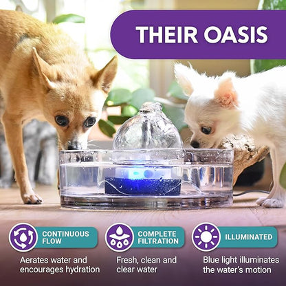 Brook Glass Pet Fountain (90oz/2.7L) – Cat Water Fountain & Small Dog Drinking Fountain – Automatic Water Dispenser Cat Fountain