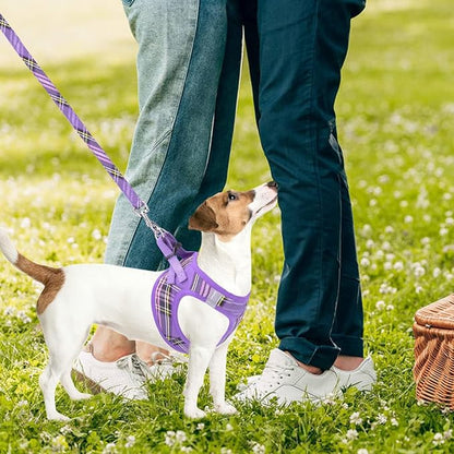 PUPTECK Adjustable Dog Harness Collar and Leash Set Step in No Pull Pet Harness for Small Medium Dogs Puppy and Cats Outdoor Walking Running, Soft Mesh Padded Reflective Vest Harnesses, Purple L
