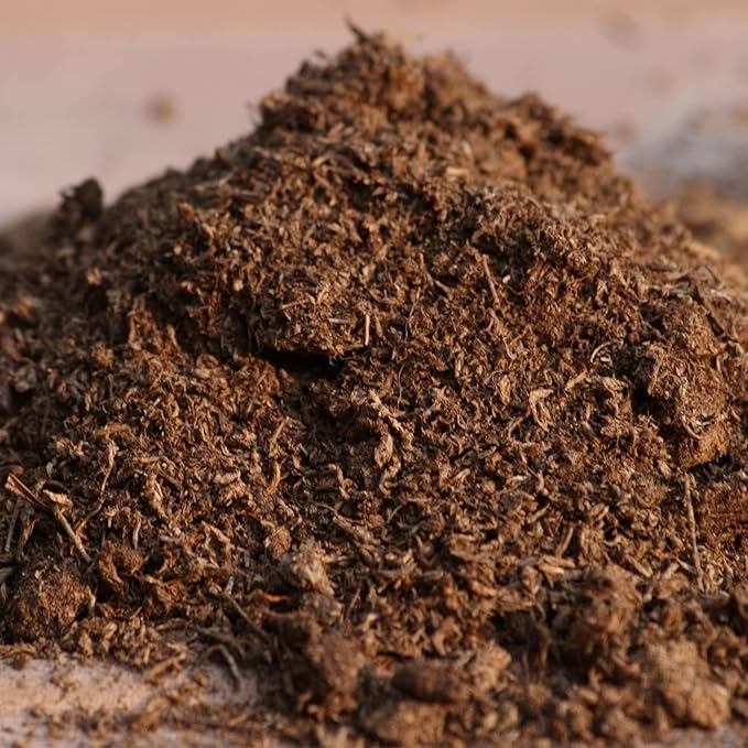 Organic Sphagnum Peat Moss, Added to Soil and Enriches Plant Roots, Gardening Soil Amendment and Carnivorous Plant Soil Media(2qt)