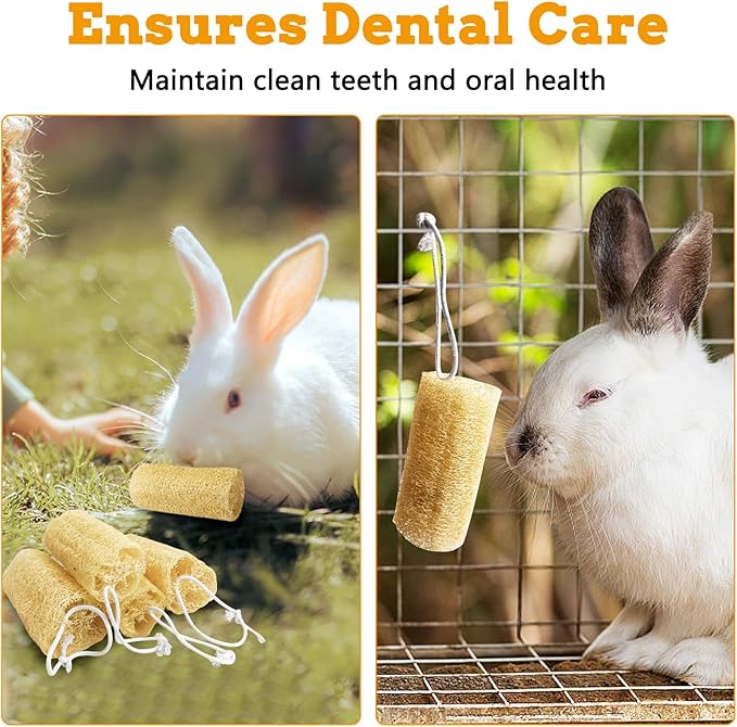 Apatal 12 Pcs Rabbit Chew Toys Natural Bunny Loofah Chew Toy Chinchilla Teeth Grinding Toys Guinea Pig Fibre-Rich Treats Enrichment Bunny Accessories for Rabbits Hamster (S)