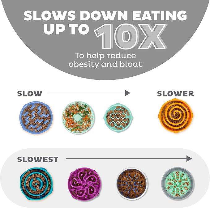 Outward Hound Medium Slow Feeder Bowl, Puzzle Maze for Fast Eaters, Small to Medium Dogs, Helps Prevent Bloat & Aid Digestion, Holds 2 Cups Wet or Dry Food, Non-Slip, Made Without BPA, Gray