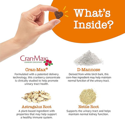 Zesty Paws Cranberry Supplement for Dogs - Bladder Control for Dogs - Urinary Tract Support - Cranberry Chews with D-Mannose, Vitamin B6 & L-Arginine - Immune & Gut Support - Bacon - 90 Count