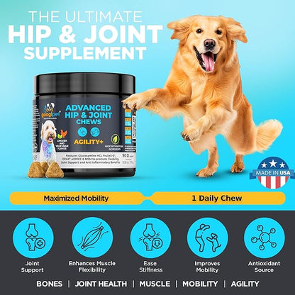 Googipet Premium Hip and Joint Supplement for Dogs - Glucosamine Soft Chews w/Green Lipped Mussels for Dogs, Dog Joint Supplement Turmeric for Mobility, Ages, & Breeds
