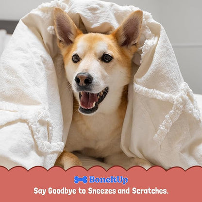 BoneItUp Soft Dog Allergy Chews for Itching, Sneezing, Paw Licking, Seasonal Allergies - Essential Omega-3, Turmeric & Quercetin for Dogs Allergies - Daily Immune & Digestive Dog Allergy Treats (90ct)