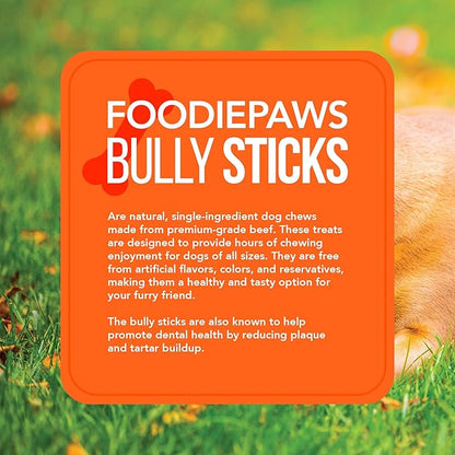 FOODIEPAWS Bully Pop, 8 oz – All-Natural, High Protein Chews for Dogs – Fully Digestible & Grain-Free – Supports Dental Health & Chewing Satisfaction