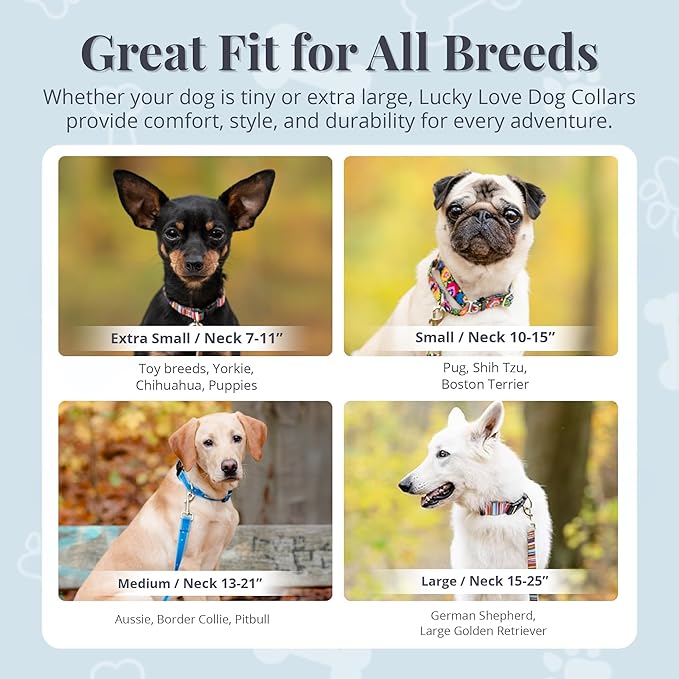 Lucky Love Dog, Tropical Matching Dog Collar & Leash Set, Soft & Comfy, Vivid Pink Color Collar and Leash for Female Male Dogs - (Large, Laguna Combo)