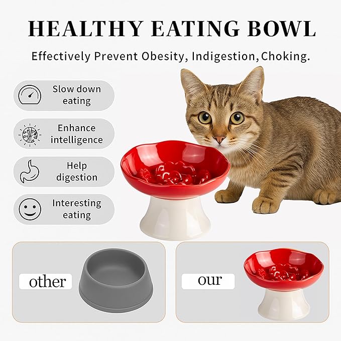 Ceramic Slow Feeder Bowl for Cats and Small Dogs, Elevated Tilted Pet Food Dish, Whisker Friendly Anti-Vomit Design, Heavy Stable Base, Dishwasher Safe， 5 Colors Options (Ruby Red)