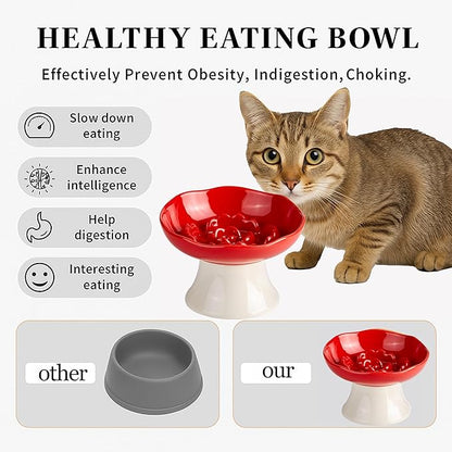 Ceramic Slow Feeder Bowl for Cats and Small Dogs, Elevated Tilted Pet Food Dish, Whisker Friendly Anti-Vomit Design, Heavy Stable Base, Dishwasher Safe， 5 Colors Options (Ruby Red)