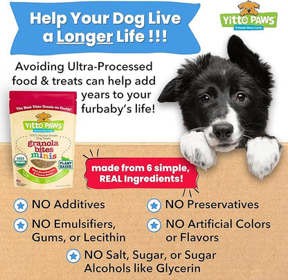 Mini Organic Dog Training Treats – Crunchy, Low Calorie Dog Biscuits with Strawberry & Peanut Butter – Vegan, Human-Grade, No Sugar Added, Made in USA for Small Dogs & Puppies, (8 oz)
