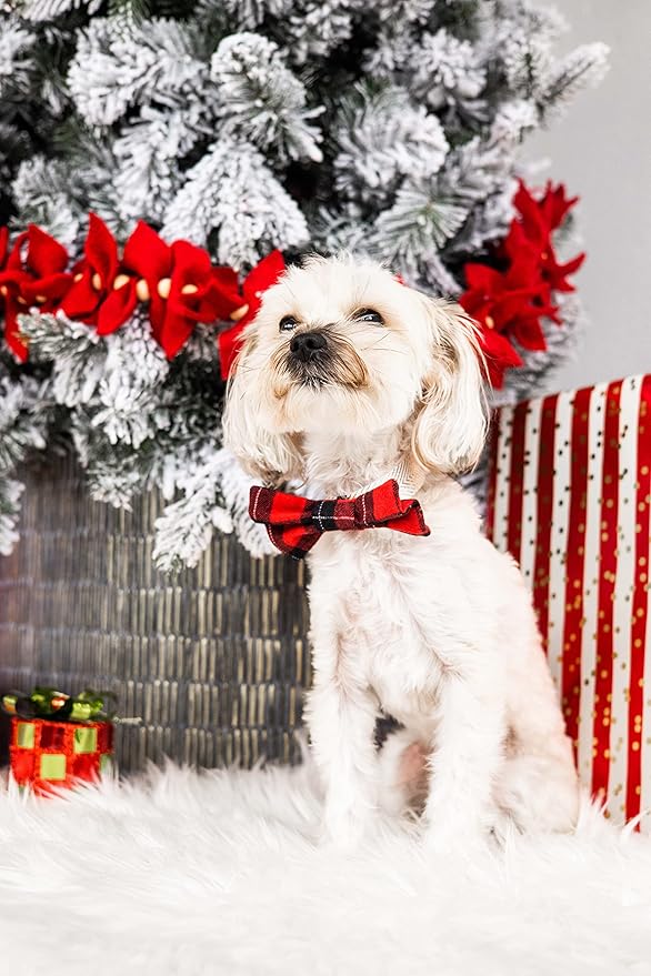 Pearhead Holiday Dog Bowtie – Red Plaid Christmas Pet Bow, Slide On Collar Accessory, Seasonal Dog Apparel, Perfect Stocking Stuffer, XS/S Small Breed