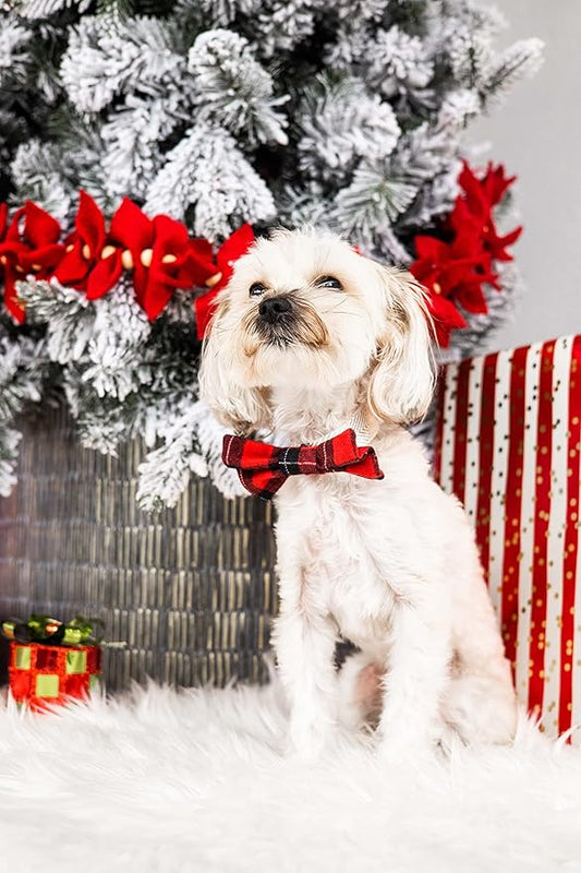 Pearhead Holiday Dog Bowtie – Red Plaid Christmas Pet Bow, Slide On Collar Accessory, Seasonal Dog Apparel, Perfect Stocking Stuffer, XS/S Small Breed