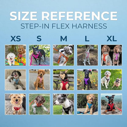 Best Pet Supplies Voyager Mesh Dog Breathable Harness Reflective Stitching, All Weather Adjustable for Walking Training, or Running - Heavy Duty & Durable, Harness Leash Set (Black), XS