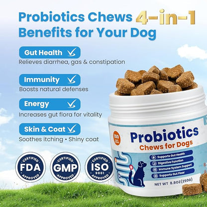 Probiotics for Dogs, Digestive Support Supplements Gut Health, Flora, Pet Dog Probiotic Supplement Soft Chews with Prebiotics for Upset Stomach, Puppy Probiotics Immune System