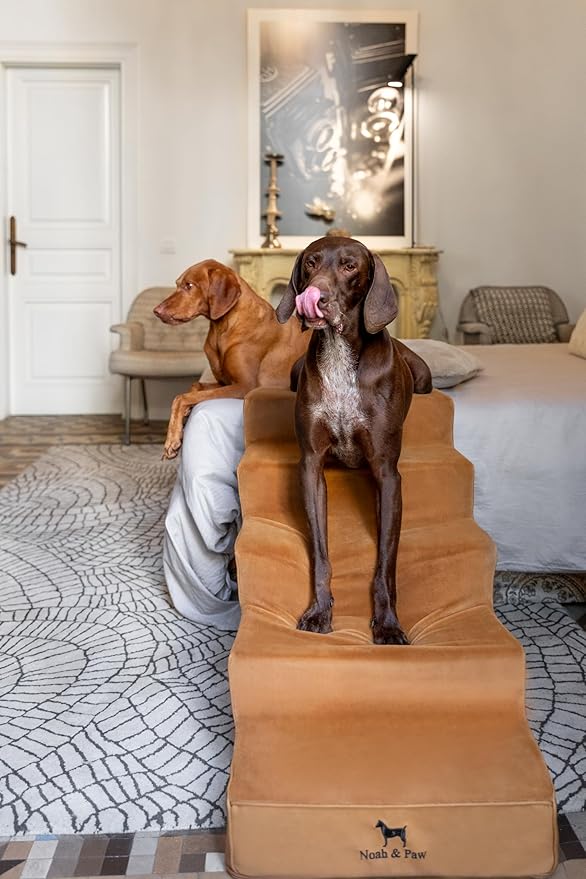 Noah & Paw Dog Stairs, Dog Ramp for Bed (20" Extra Wide) Pet Stairs for High Bed, Design to Fit Small and Large Breeds, Durable 5 Pet Steps for Couch (35 Foam Density) Leather Collection