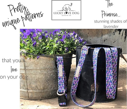 Lucky Love Dog - Easy Click Buckle Dog Collar with Leash Set Combo, Durable & Comfortable for Male & Female Dogs, Pet Collar for Small to Large Dogs, Secure Fit - Primrose Combo, Medium