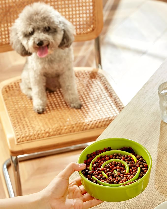 Ceramic Slow Feeder Dog Bowls, 0.6 Cup Slow Feeder for Small Dogs and Cats, Puzzle Maze Bowl, Prevents Choking, 6in, Green