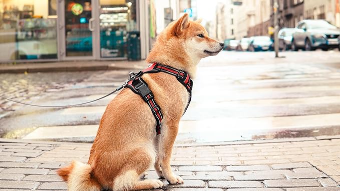 Ziggy Pet Dog Harness Adjustable Nylon Mesh Vest with Leash Clips (Red, Medium)