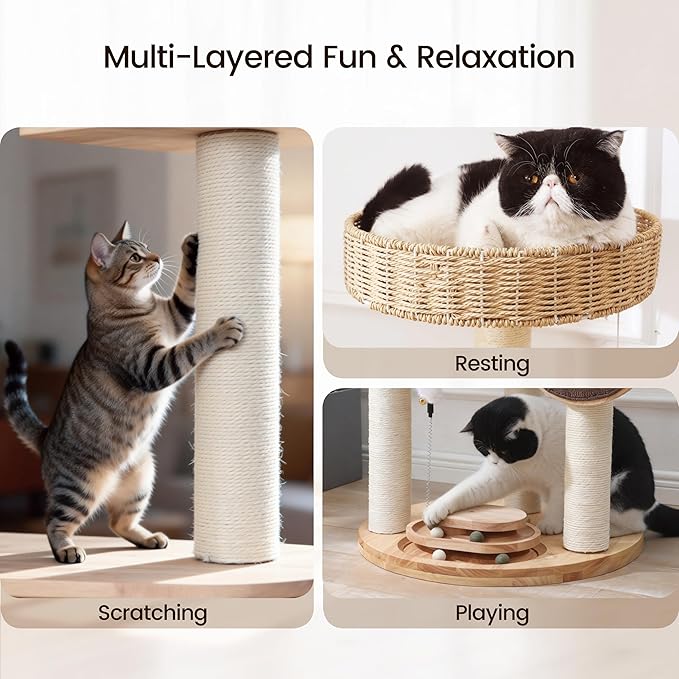 Solid Wood Cat Tree for Large Cats, 48-Inch Modern Cat Tower with Hand-Woven Baskets, Multi-Level Cat Condo with Sisal Scratching Posts, Sturdy Indoor Cat Furniture for Big Cats up to 20lbs