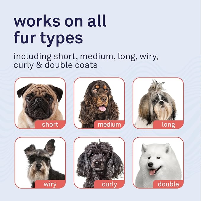 Petpost | Skunk Odor Eliminator Shampoo for Dogs & Cats. Neutralizes Strong Odors. Gentle & Safe Formula. 16 oz