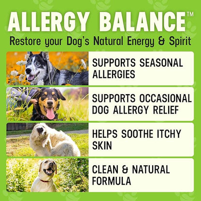 Cesar Millan Better Dog Allergy Supplements Powder - Allergy Balance Supports Seasonal Allergies & Occasional Dog Allergy Relief with Natural Ingredients - 4 oz, 60-Day Average Supply