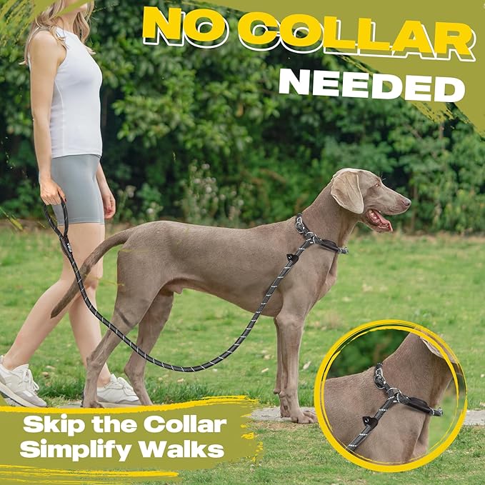 Fida Durable Slip Lead Dog Leash, 6 FT x 1/2" Heavy Duty Dog Loop Leashes, Comfortable Strong Rope Slip Leash for Large Medium Dogs, No Pull Pet Training Lead with Highly Reflective(1/2", Black)