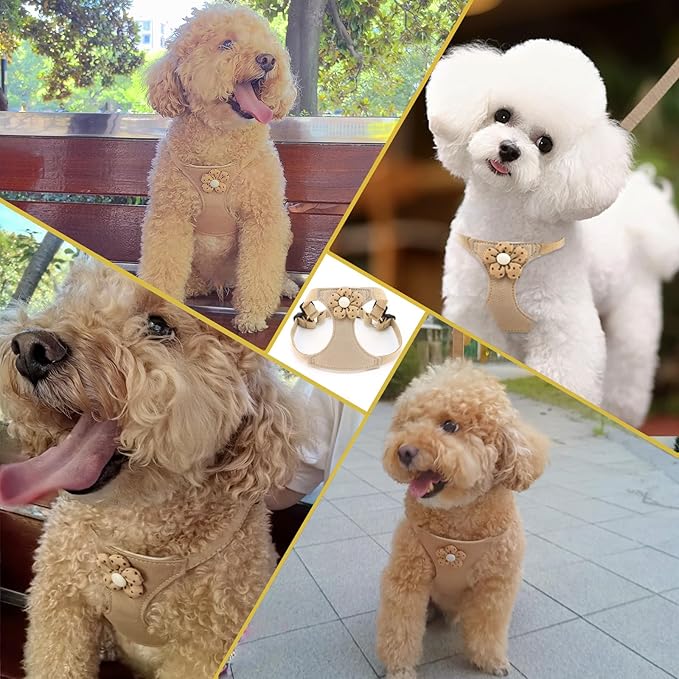Dog Harness with Leash and Flower, Cute Breathable Puppy Harness Easy for Walking, No Pull No Choke Escape Proof Pet Harness, Brown M