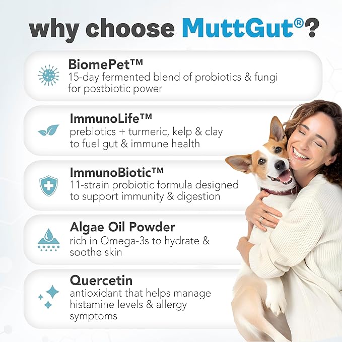 MuttGut® Dog Allergy and Immune Chews - Itch Relief for Dogs with Skin & Coat Support - Allergy Relief for Dogs Itching & Licking - Pet Allergy Chews for Seasonal Allergies - 60 Soft Chews