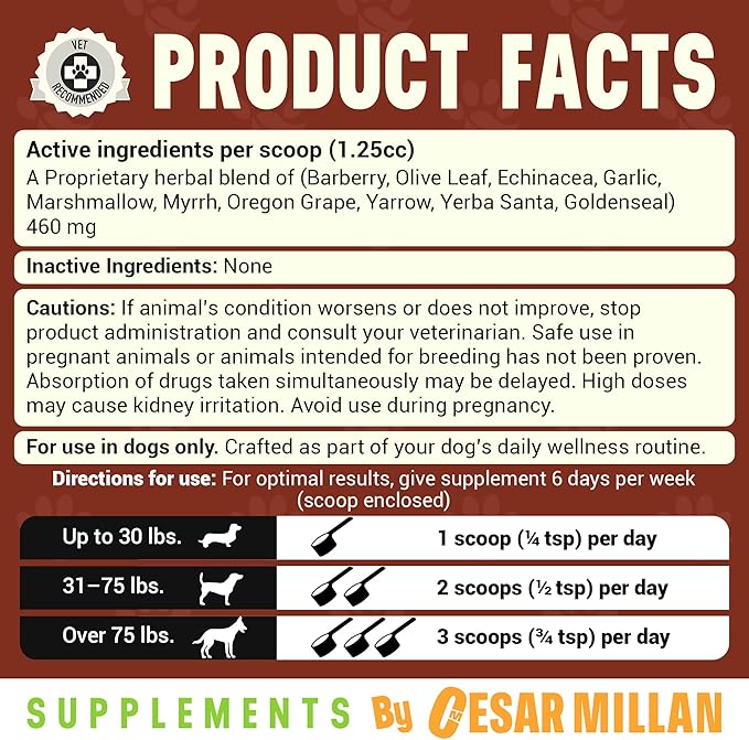 Cesar Millan Better Dog Immune Support Supplement Powder - Pack Protector Immune Support for Dogs, Energy & Internal Balance Dog Supplements w/Proprietary Herbal Blend - 4 oz 60-Day Average Supply