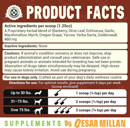 Cesar Millan Better Dog Immune Support Supplement Powder - Pack Protector Immune Support for Dogs, Energy & Internal Balance Dog Supplements w/Proprietary Herbal Blend - 4 oz 60-Day Average Supply