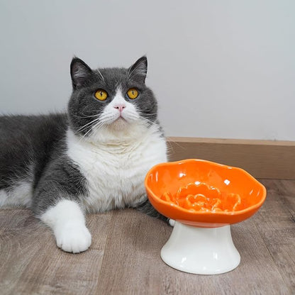 Ceramic Slow Feeder Bowl for Cats and Small Dogs, Elevated Tilted Pet Food Dish, Whisker Friendly Anti-Vomit Design, Heavy Stable Base, Dishwasher Safe， 5 Colors Options (Tangerine Orange)