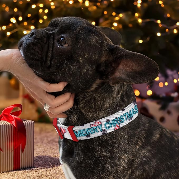 Pawtitas Personalized Dog Collar Dog Soft Adjustable Puppy Collar Customizable Embroidered add Pet Name Phone Number or Phrase Medium Dog Christmas