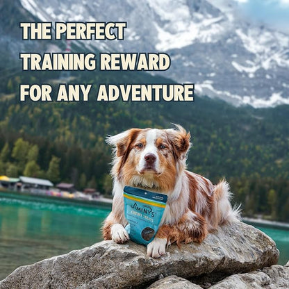 Jiminy's Chewy Training Treats for Dogs, Low Calorie, Hypoallergenic Insect Protein, Made in USA, 6oz, Peanut Butter & Cranberry (Pack of 1)