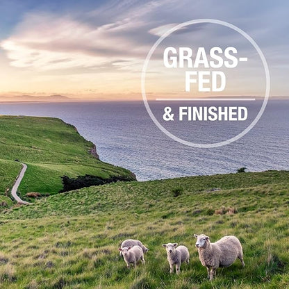 K9 Natural, Freeze-Dried Single Ingredient Dog Treats, High-Value, Low-Calorie Protein Bites for Active Dogs, Healthy Dog Training Treats, Grain-Free Reward, Beef & Organs, 1.76oz