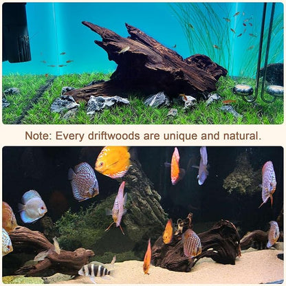 LYPHARD AQUARIUMS Natural Driftwood for Aquarium Decor, 2 Pieces 9-14" Large Assorted Branch Decorations for Reptile Hide, Fish Tank